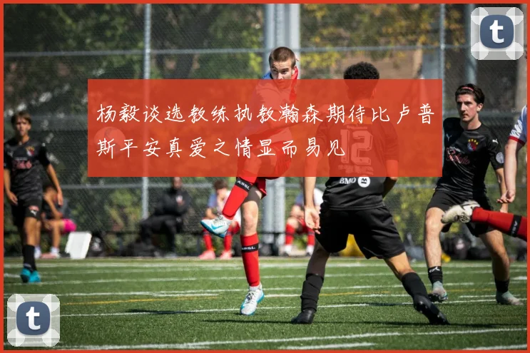 杨毅谈选教练执教瀚森期待比卢普斯平安真爱之情显而易见